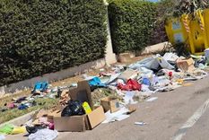 Según la denuncia, el lugar se convirtió en un foco de basura y malos olores. Según la denuncia, el lugar se convirtió en un foco de basura y malos olores.