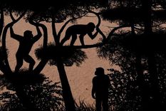 Reconstrucción de diferentes modos de locomoción en el desierto de Djourab (Chad). Sabine Riffaut, Guillaume Daver, Franck Guy / Palevoprim / CNRS - Université de Poitiers / MPFT Foto: GENTILEZA FRANK GUY