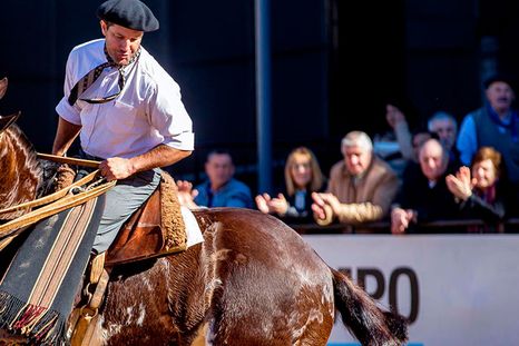 La exposición comenzará este jueves 17. Foto: Buenos Aires Ciudad. La exposición comenzará este jueves 17. Foto: Buenos Aires Ciudad.