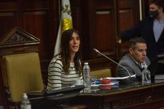el duro ataque del radicalismo mendocino al pj por defender a cristina fernandez de kirchner
