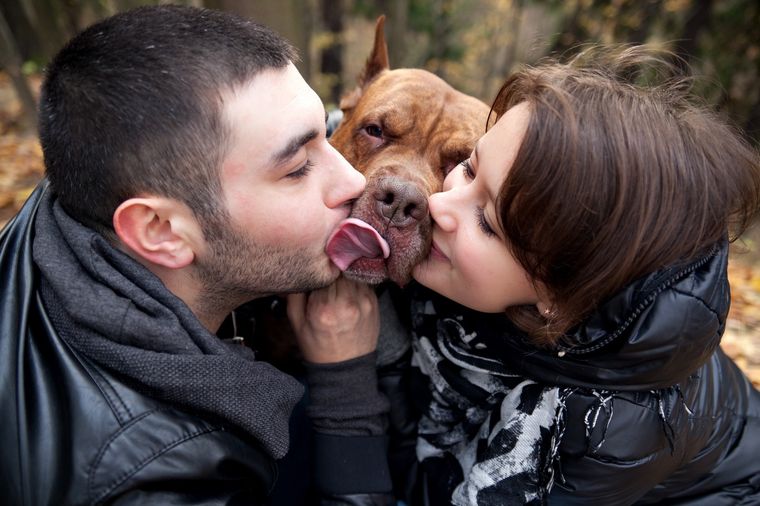 Algunas personas besan a sus perros Foto: Shutterstock