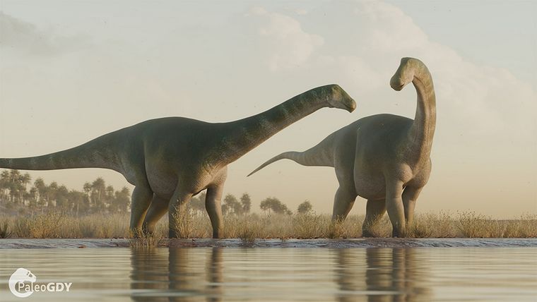 El nombre elegido para este dinosaurio fue Cienciargentina como un tributo al sistema de ciencia y tecnología argentino. Foto: Conicet