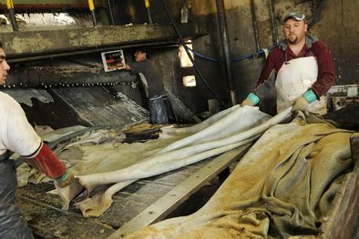 MDZol | Foto: Nacho Gaffuri / MDZ