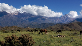 La Pampa del Durazno está en el distrito Los Chacayes. La Pampa del Durazno está en el distrito Los Chacayes.