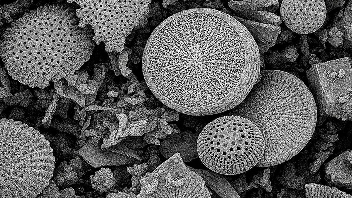 El innovador proyecto del CONICET para frenar los microplásticos en el agua potable