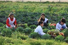 En Fundación Huerta Niño presentamos el último el Programa Educativo Huertas Escolares. Foto: Fundación Huerta Niño En Fundación Huerta Niño presentamos el último el Programa Educativo Huertas Escolares. Foto: Fundación Huerta Niño