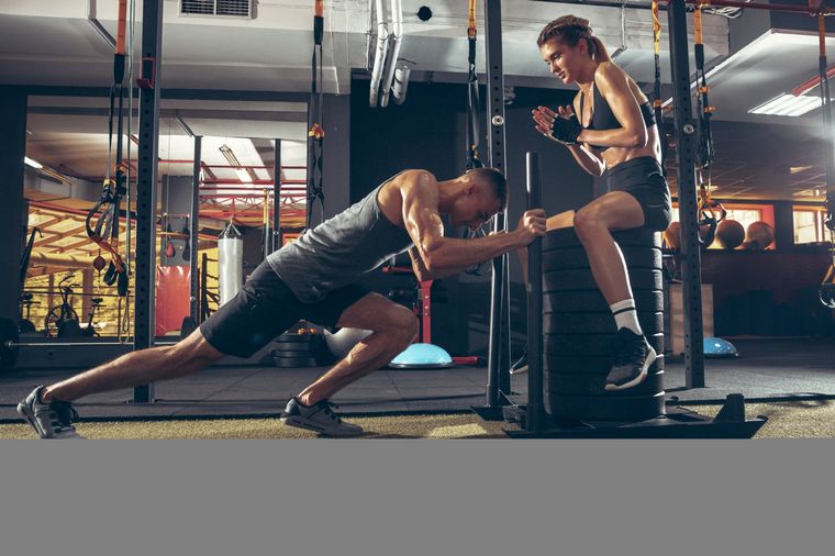 El estudio fue publicado en la revista Biophysical Journal Foto: Freepik