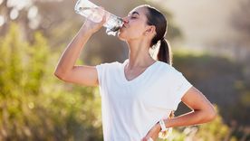 Lo que hay que saber sobre cada botella. Fuente: Shutterstock. Lo que hay que saber sobre cada botella. Fuente: Shutterstock.