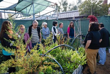 Godoy Cruz puso en marcha “Legado Verde”. Godoy Cruz puso en marcha “Legado Verde”.