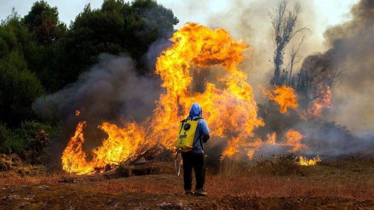 Muchos de los incendios han sido intencionales. Foto: Efe.