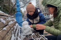 Mendoza volvería a registrar nevadas durante el feriado del 9 de julio.