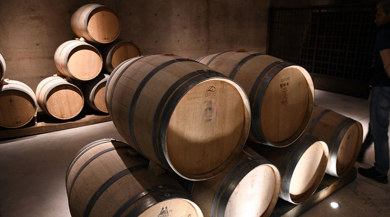 Foto: ALF PONCE MERCADO / MDZ