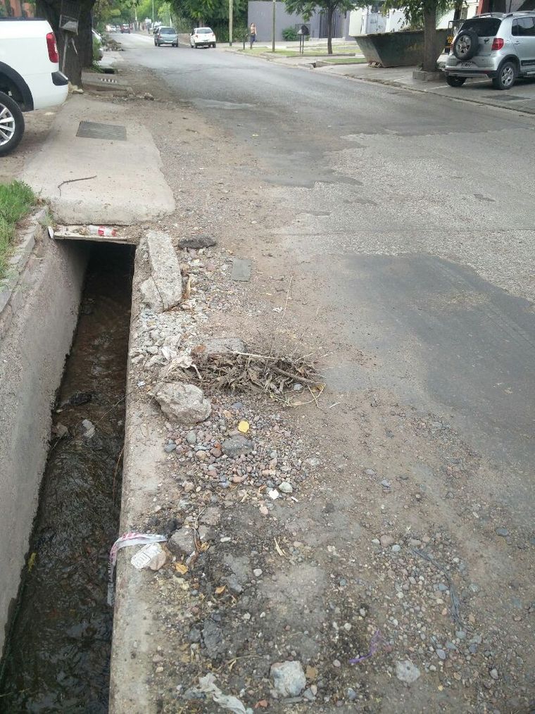 Foto: Gentileza lector