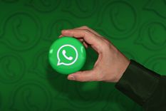 WhatsApp agrega una nueva opción para cambiar el color de su interfaz Foto: Shutterstock