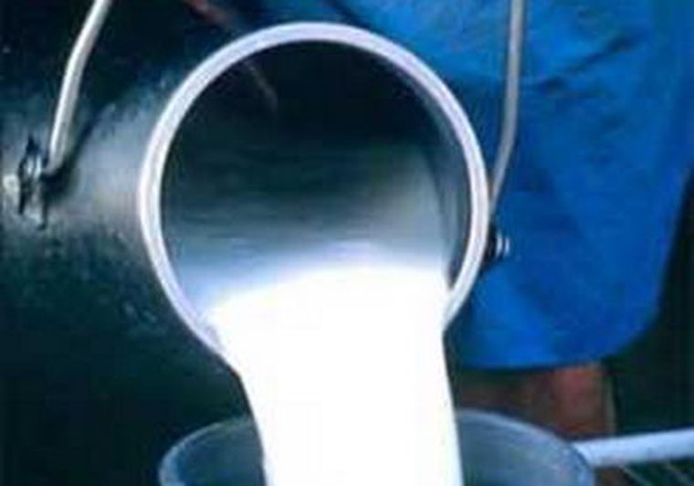 Peligra el abastecimietno de la leche. Foto: web