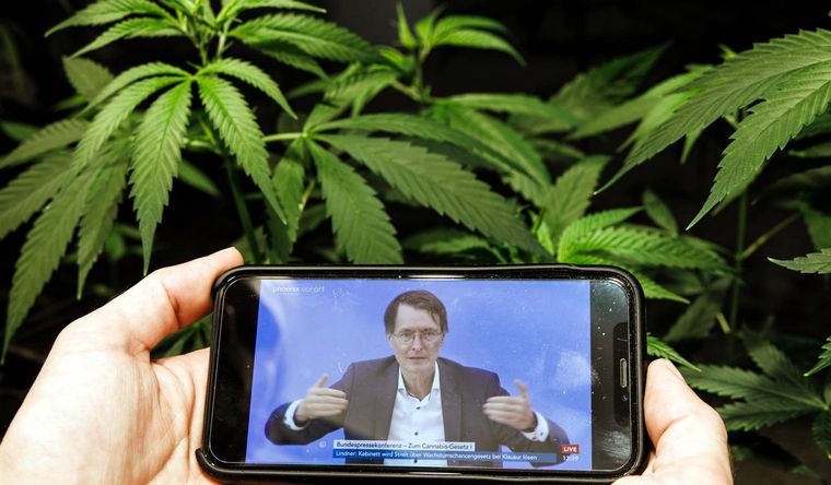 Karl Lauterbach cannabis El ministro de Salud alemán, Karl Lauterbach se he referido a la aprobación del consumo. Foto: Efe.