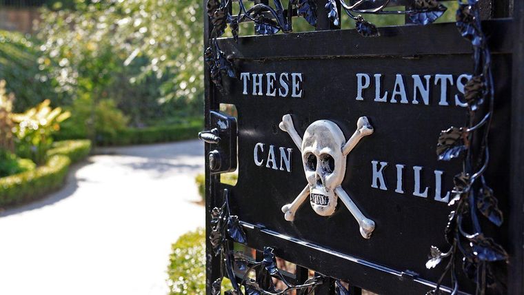 "Estas plantas pueden matar", la advertencia en la puerta del Jardín de los Venenos.