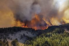 Esta semana se reactivaron tres focos de incendio en el Parque Nacional Los Alerces.&nbsp;