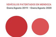 En unidades Foto: Mario Simonovich