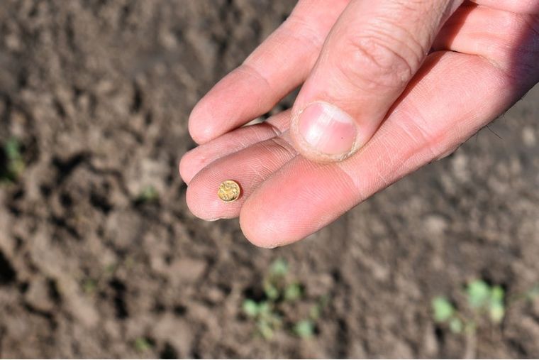 Monedas, ámbar, hornos cerámicos y posibles santuarios forman parte de uno de los conjuntos arqueológicos más importantes hallados en Bohemia. Monedas, ámbar, hornos cerámicos y posibles santuarios forman parte de uno de los conjuntos arqueológicos más importantes hallados en Bohemia.