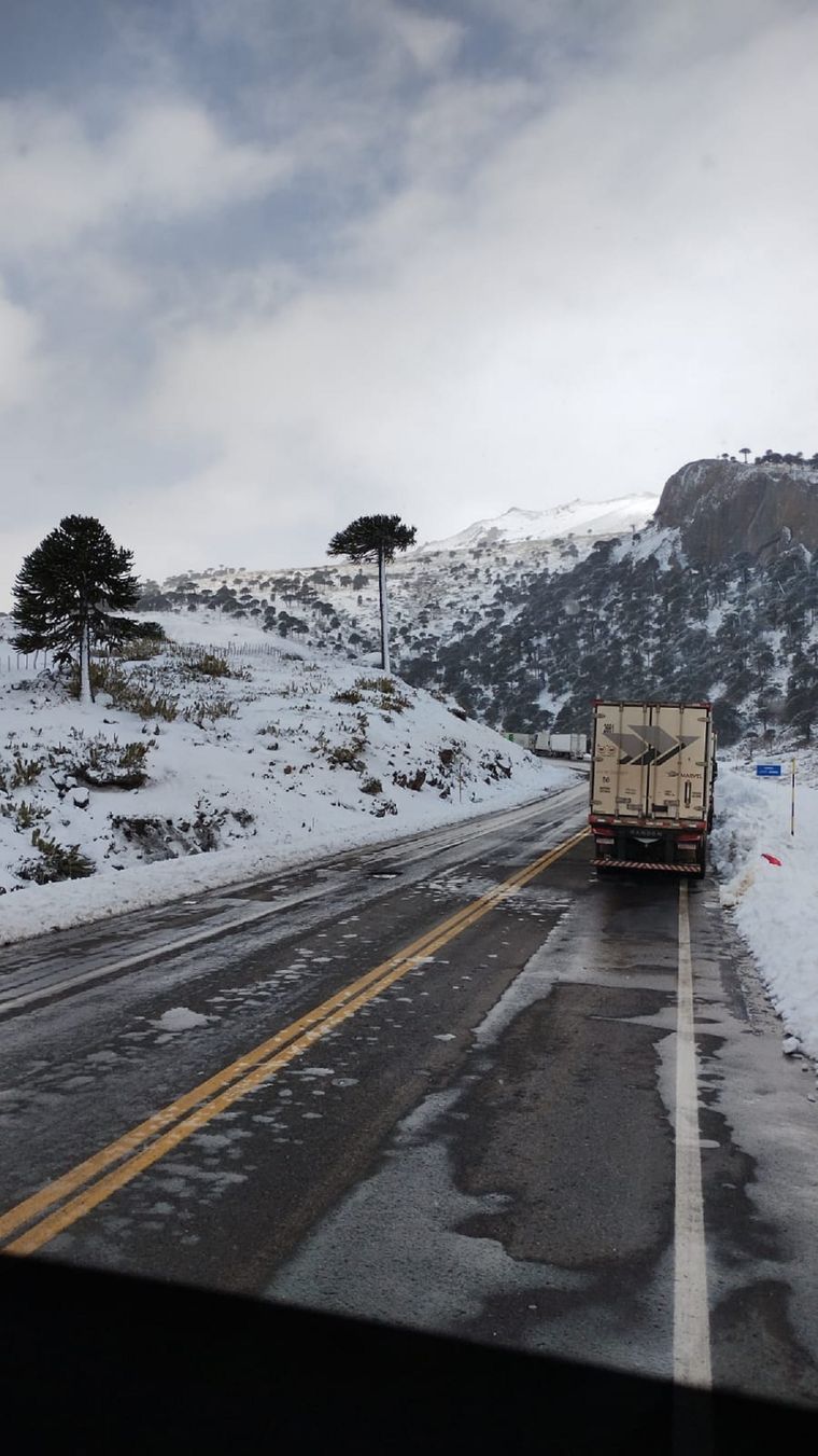 Desde Aprocam se mostraron molestos por la demora en Neuquén tras el cierre del Paso Cristo Redentor. Foto: Aprocam