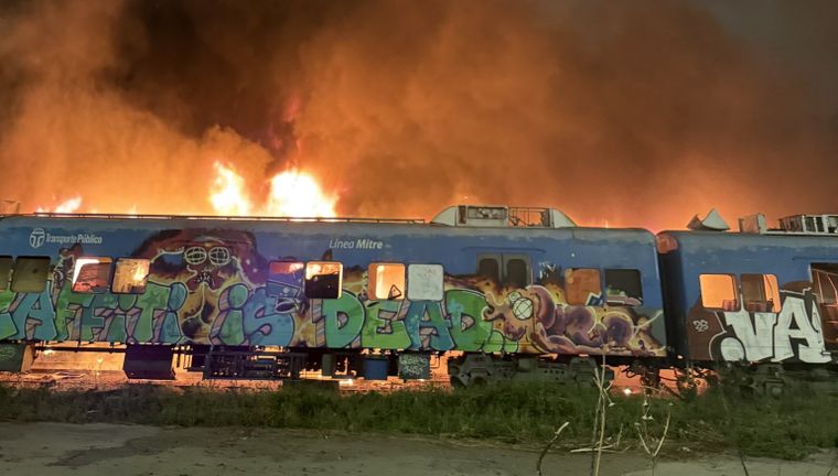 Los vecinos registraron el episodio y alertaron a las autoridades.