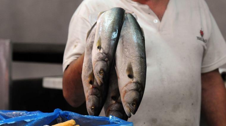 Beneficios de comer pescado. Beneficios de comer pescado.