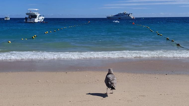 Los Cabos, un destino de playa que crece con estricto cuidado del agua.