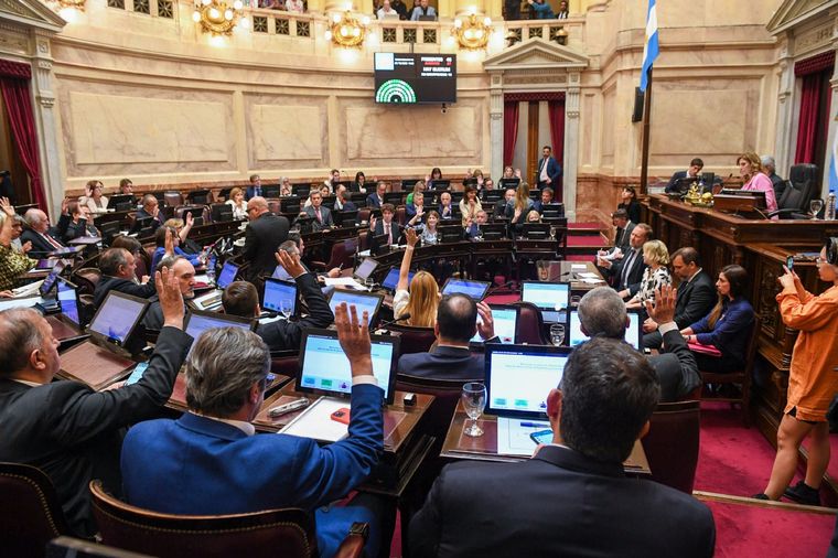 Maratónica sesión en el Senado de la nación. Foto: Noticias Argentinas
