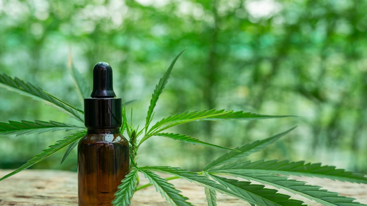 Cannabis medicinal: paso a paso, cómo tramitar el Reprocann