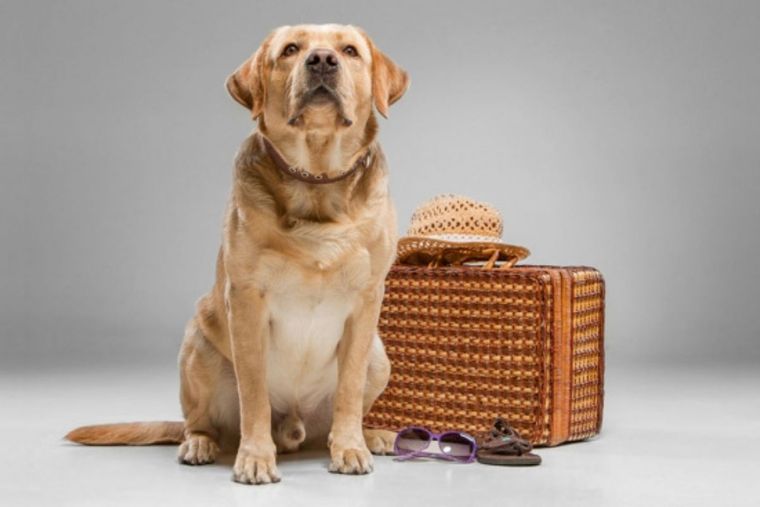 Recomendaciones para evitar el estrés y la ansiedad durante el viaje. Foto: Idealista Recomendaciones para evitar el estrés y la ansiedad durante el viaje. Foto: Idealista