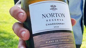 Bodega Norton: la historia familiar y las claves de una empresa en crisis
