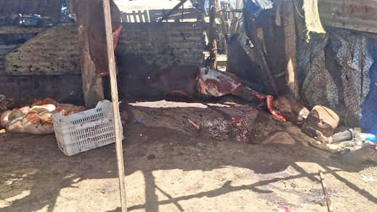 El cadáver de uno de los caballos que estaban faenando los sospechosos. El cadáver de uno de los caballos que estaban faenando los sospechosos.