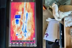 En el marco de un operativo, Gendarmería descubrió tres lagartos africanos, ocultos dentro de una encomienda enviada desde Retiro hacia Comodoro Rivadavia, Chubut.