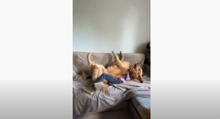 ¡La tierna imagen que se hizo viral!