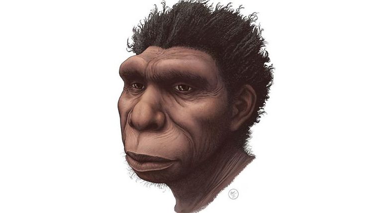 Ilustración del Homo bodoensis. Foto: ETTORE MAZZA