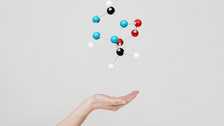 La biología cuántica puede abrir puertas a nuevos conocimientos. Foto: GETTY IMAGES