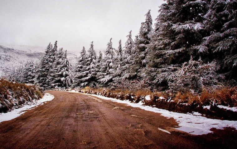 El SMN anticipó que se esperan temperaturas bajo cero y caída de nieve en varias provincias del país. Durante el fin de semana, las máximas no superarían los 10 grados. Foto: NA / Archivo
