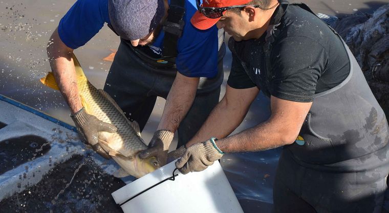 Foto: Gentileza Dirección de Recursos Naturales