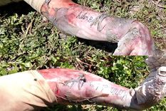 se filtraron las imagenes del cadaver encontrado en ensenada que podrian ser fundamentales para la causa