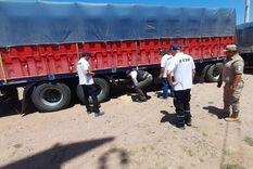 AFIP logró desbaratar maniobras fraudulentas Foto: Prensa AFIP AFIP logró desbaratar maniobras fraudulentas Foto: Prensa AFIP