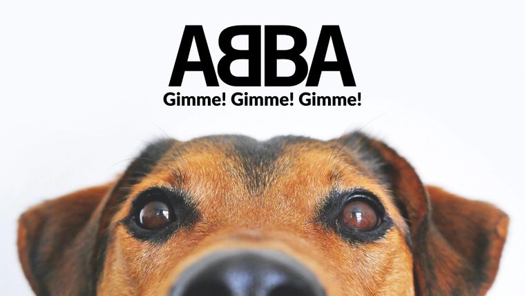 La combinación entre los canes y este grupo de pop sueco es imperdible