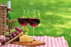 La Ciudad de Mendoza invita a un día de campo en una bodega de Maipú.