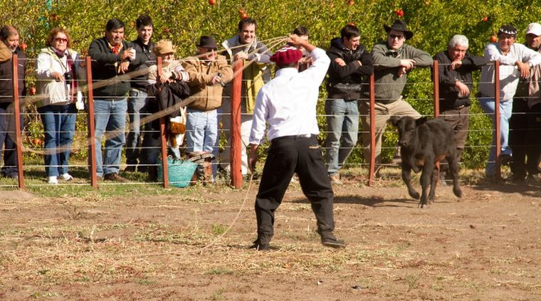 Foto: Prensa Fiesta de la Ganadería