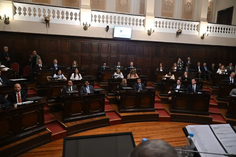 Los 24 diputados electos juraron este viernes en la Legislatura,