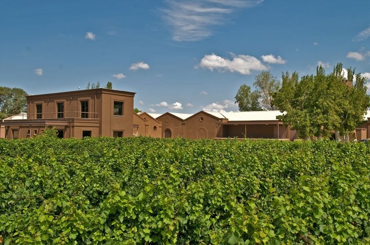 Ser green friendly hoy es un valor muy importante incluso para vender vinos. Foto: Gentileza