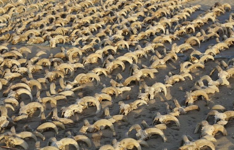 Foto: Ministerio de Turismo y Antigüedades de Egipto