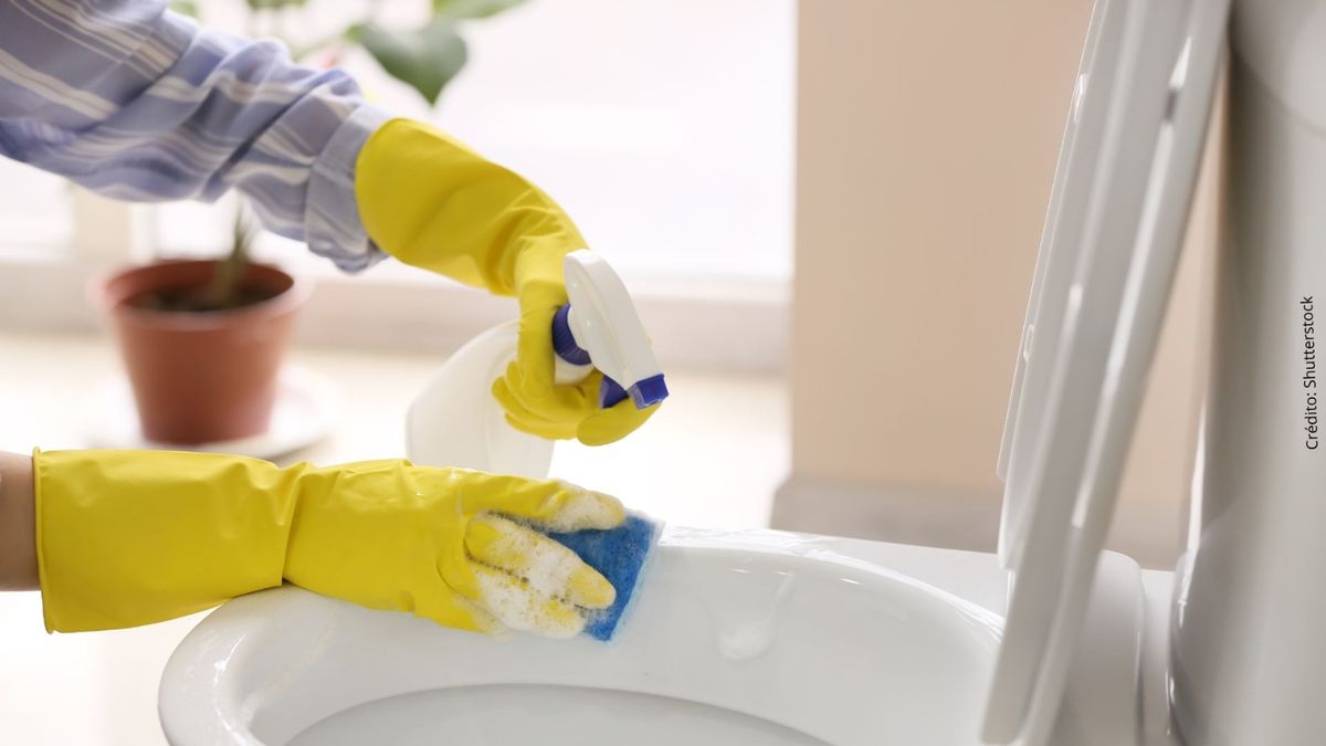 El secreto definitivo para sacar el sarro y eliminar malos olores del baño sin químicos fuertes