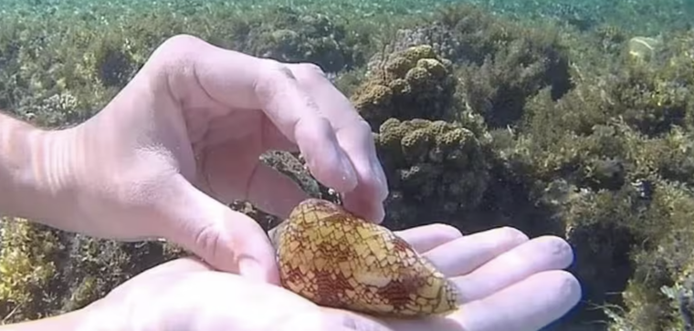 La inocente fotografía que casi le cuesta la vida. Foto: Archivo