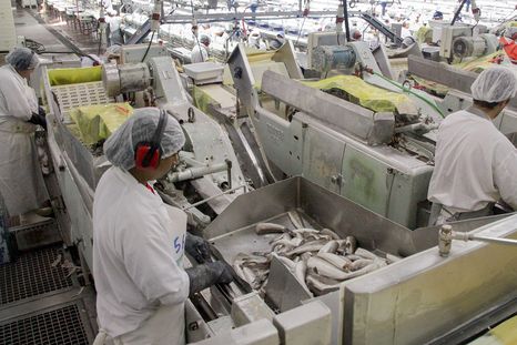 La industria pesquera viene atravesando, desde hace un largo tiempo, una situación difícil por problemas de rentabilidad y la pesca ilegal Foto: NA